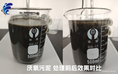 污泥增效劑：激活厭氧污泥潛能，重塑資源化新格局-青島仕駿