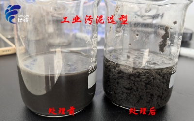 污泥脫水提質(zhì)增效:普通藥劑與仕駿污泥增效劑效果實測對比