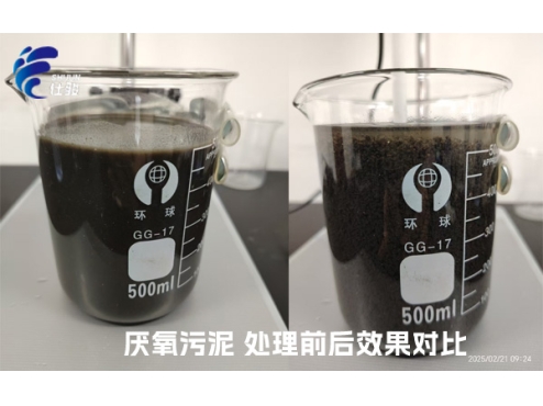 污泥增效劑：激活厭氧污泥潛能，重塑資源化新格局-青島仕駿